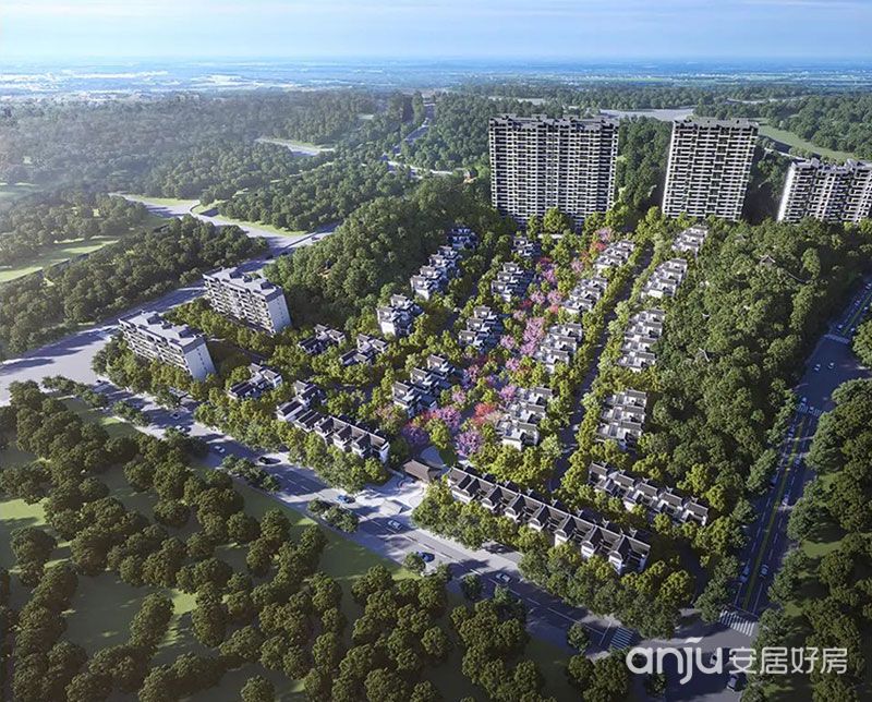實景圖