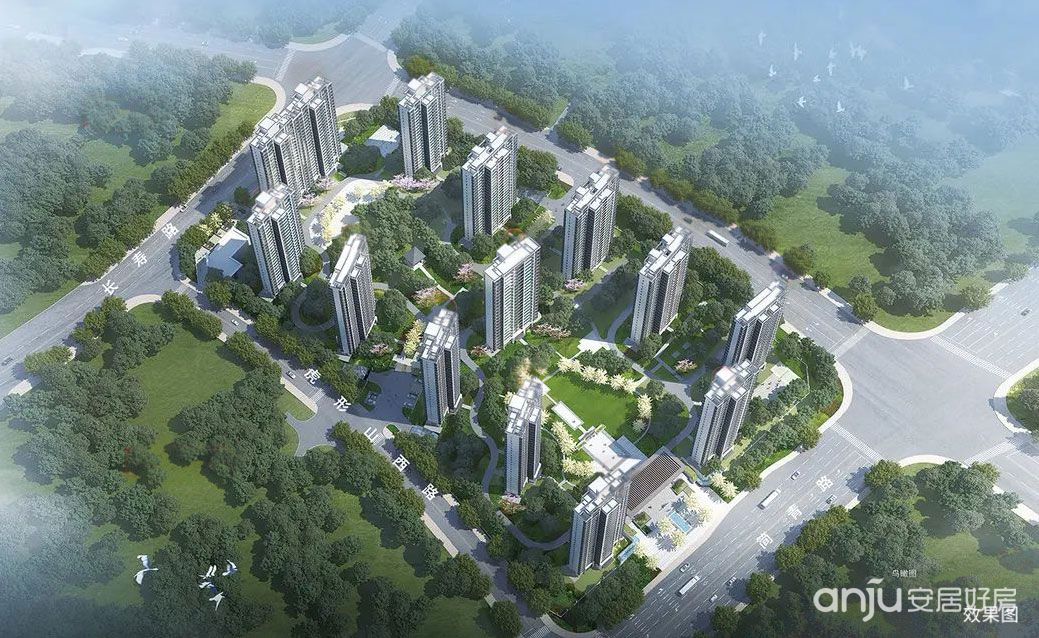 實(shí)景圖