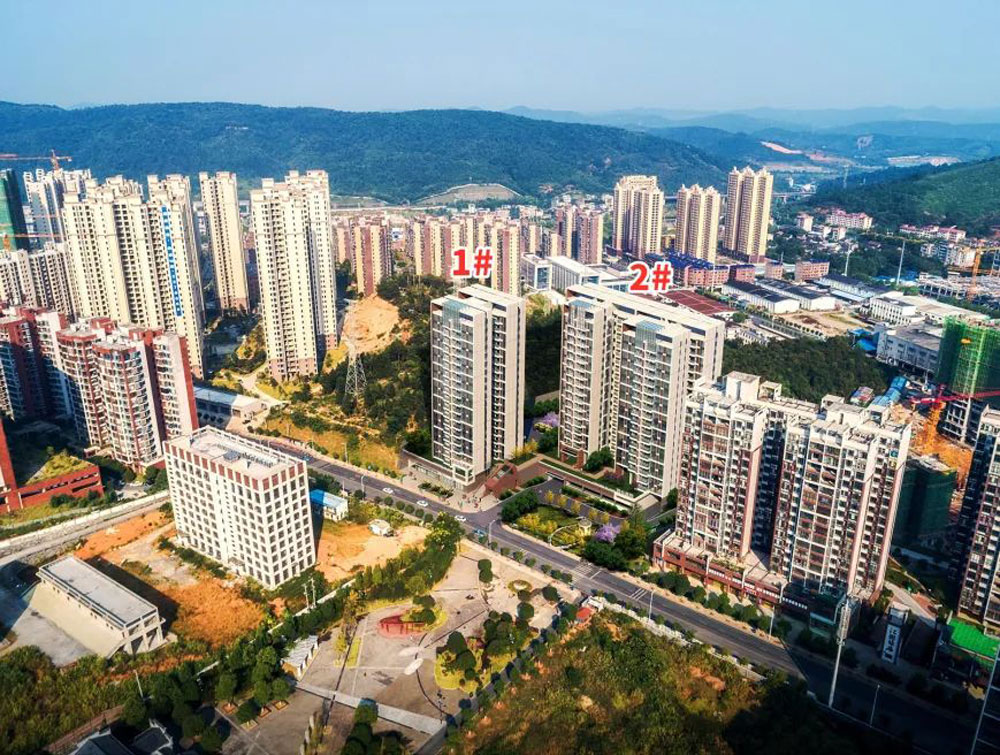 實景圖