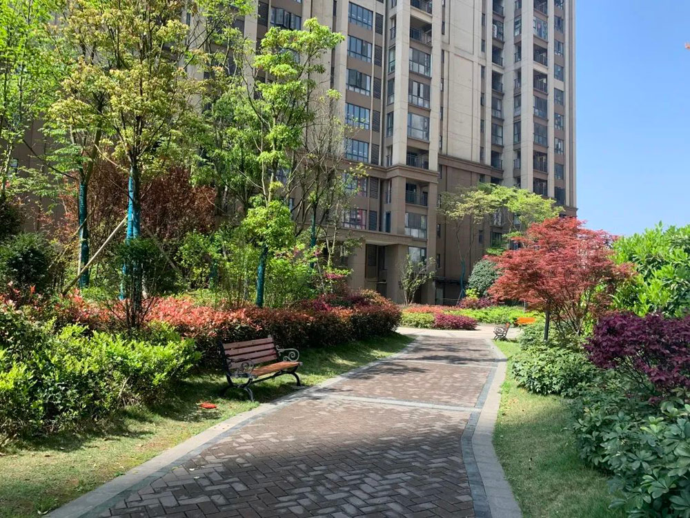 實景圖